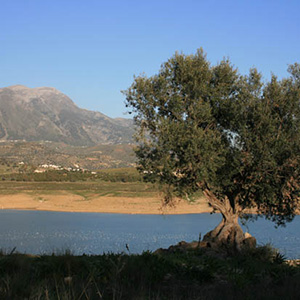 Ruta Alrededores del Pantano de La Viñuela